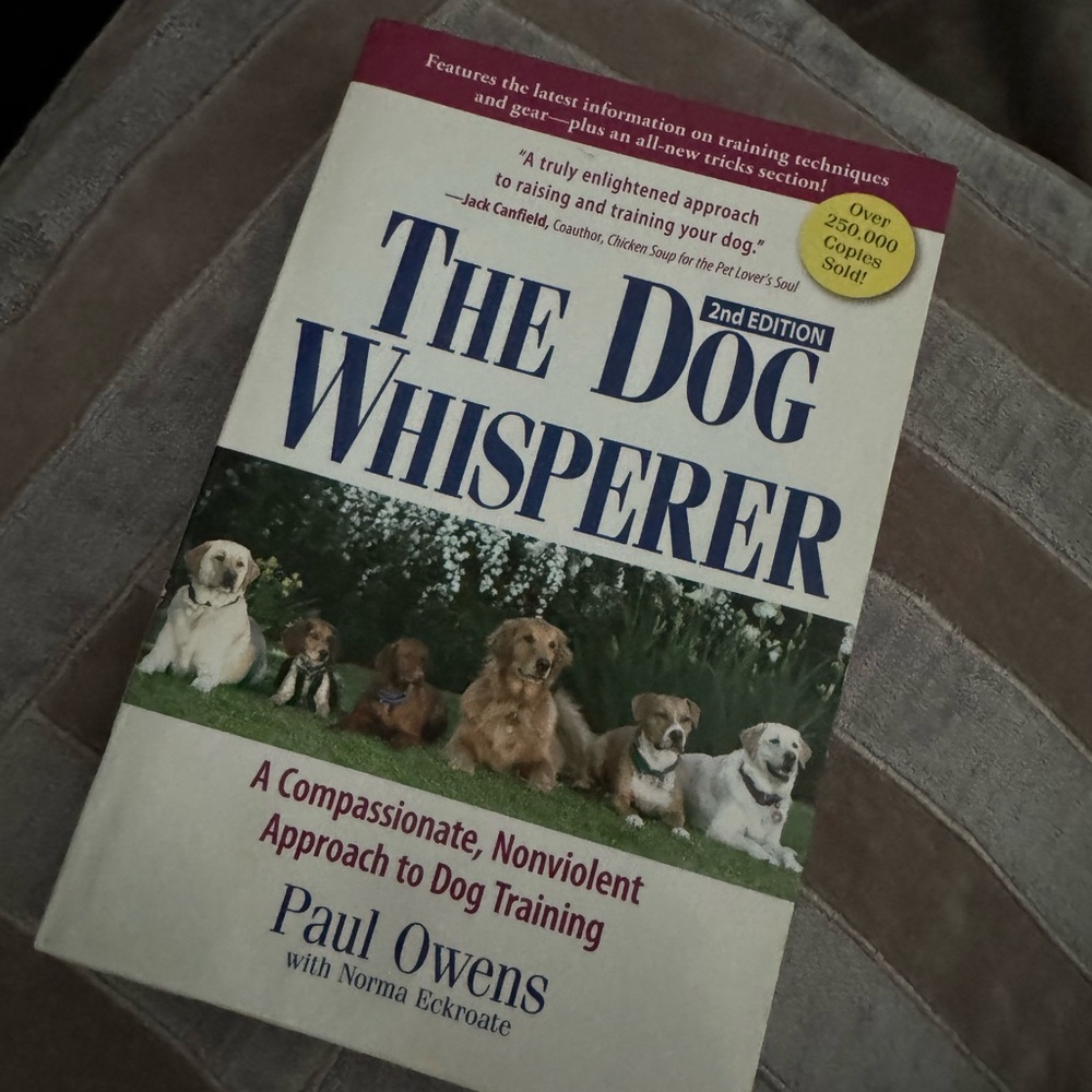 The Dog Whisperer by Paul Owen’s